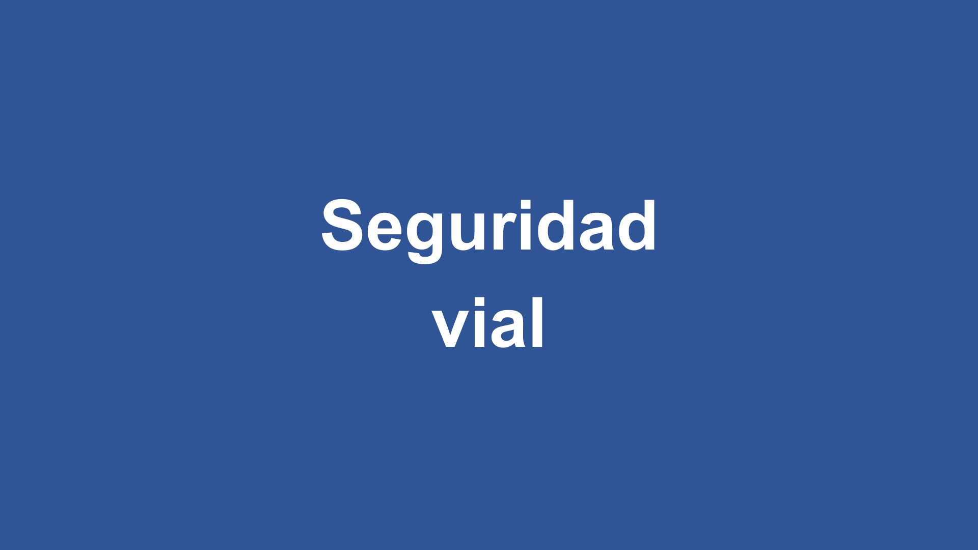 Seguridad vial